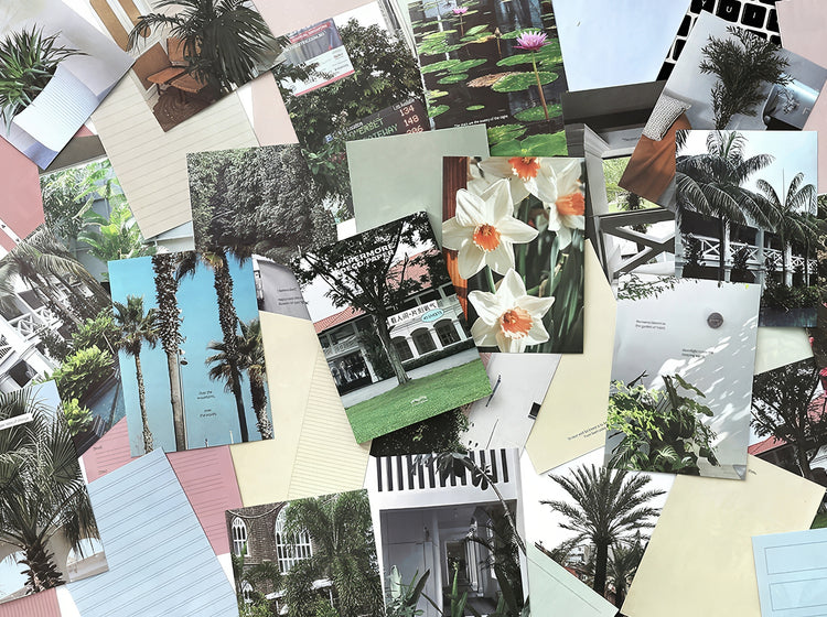 Assorted tropicalthemed postcards with palm trees white flowers pastel backgrounds and architectural details