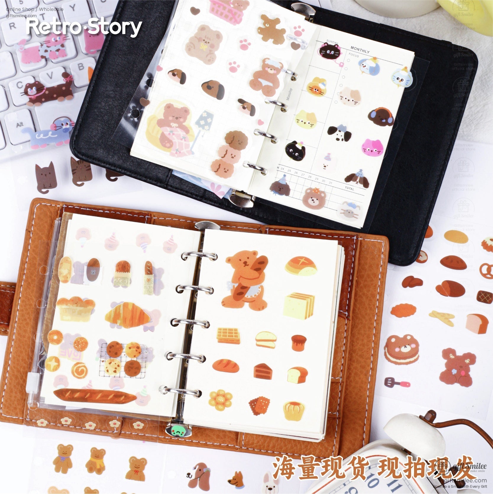 KS-SA-3921-RSA-Cover-04.jpg