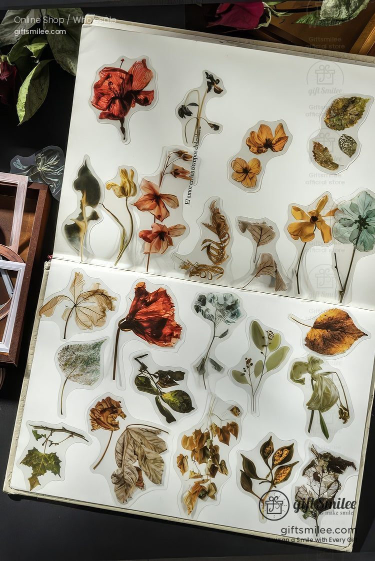 Matte Pet Transparent Overlap Vintage Frame Dried-Flower Prints Sticker Pack | KS-SA-4260