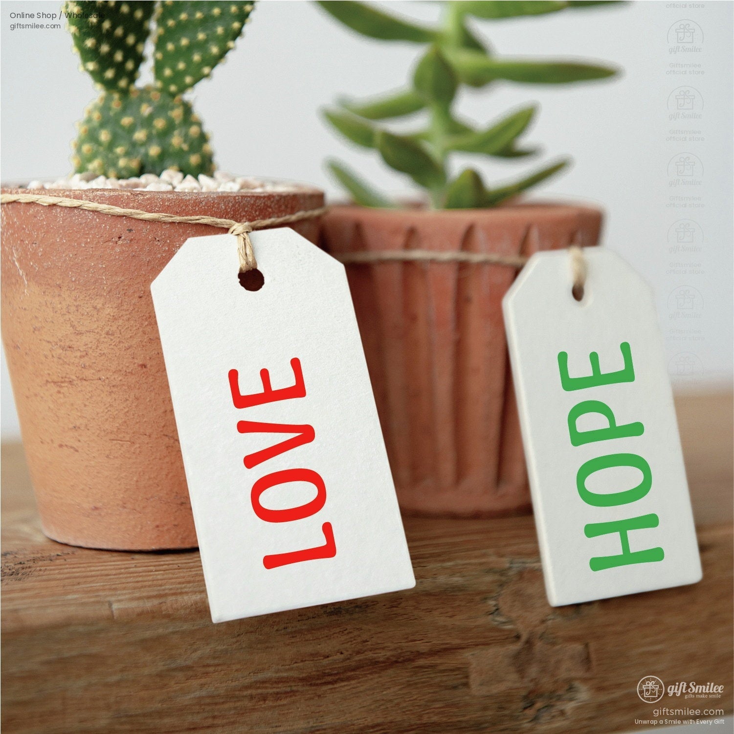 White paper gift tags with red LOVE and green HOPE text tied with twine placed on rustic terracotta plant pots